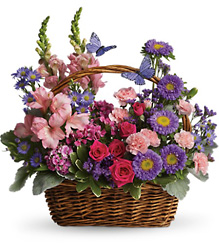 Country Basket Blooms Flower Power, Florist Davenport FL